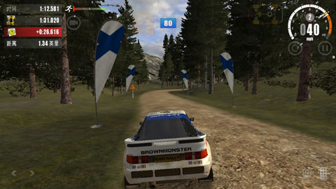 Rush Rally 3