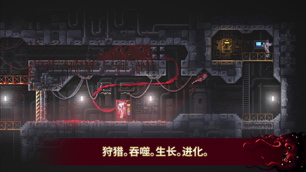 红怪游戏