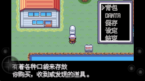 口袋妖怪新世界传奇彼岸花绽放之夜