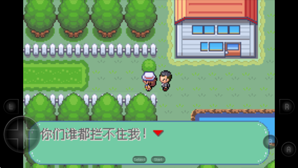 口袋妖怪新世界传奇彼岸花绽放之夜