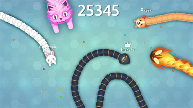 Snake io