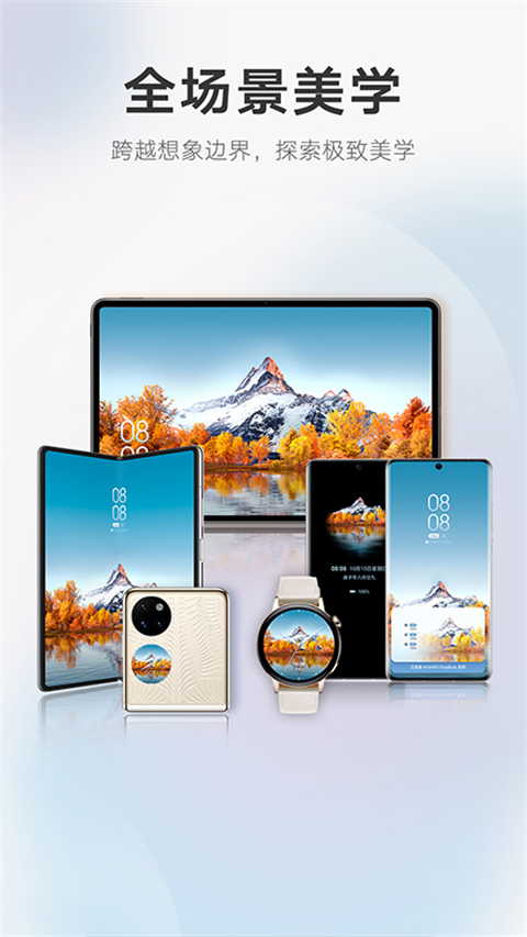 荣耀主题商店APP