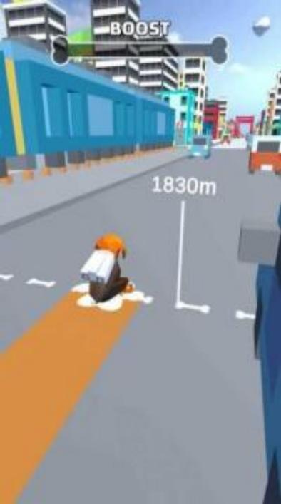 狗狗极限跳跃