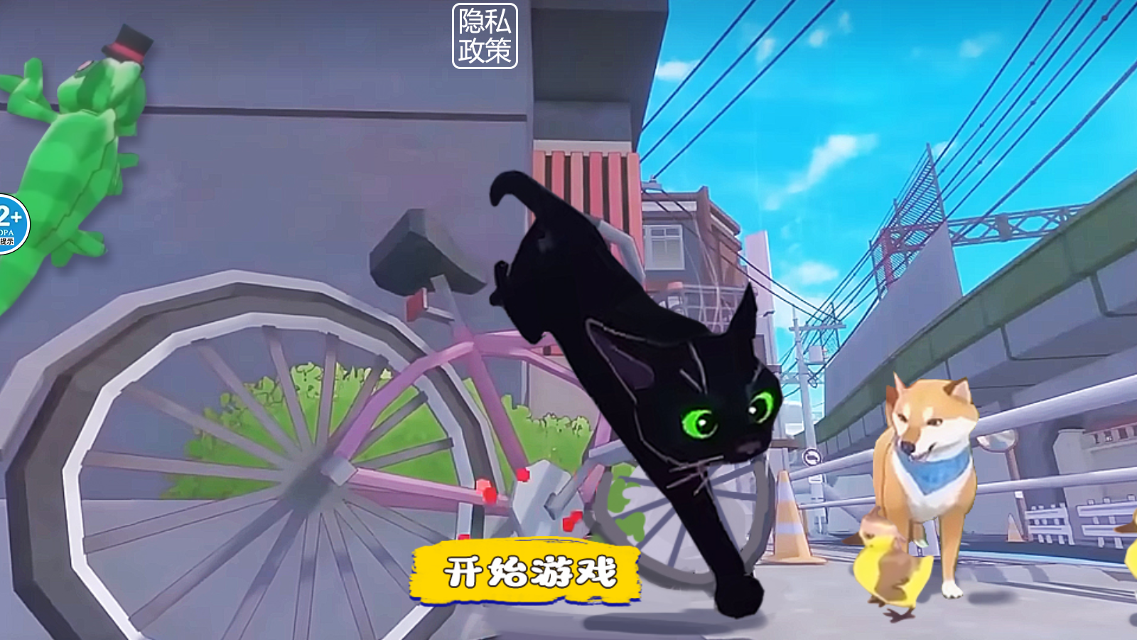 我是猫喵喵