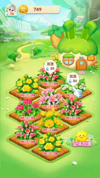天天种花