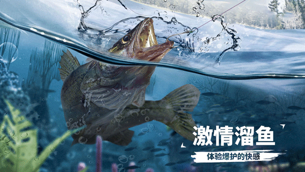 天天钓鱼官方正版