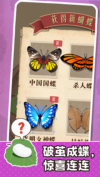 小小养蚕师官方版
