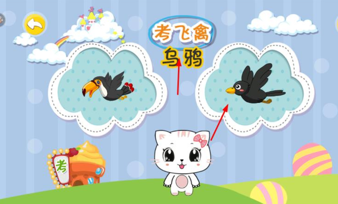 宝宝认飞禽