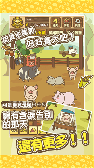 养猪场mix手游