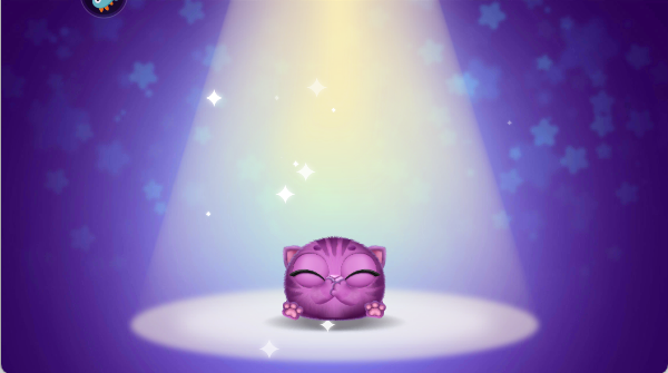 我要养猫