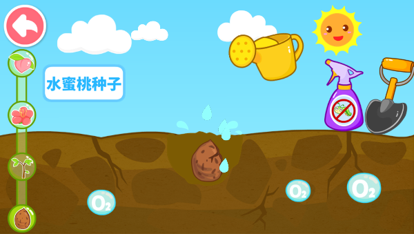 奇妙的种子