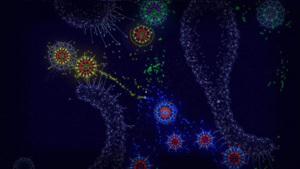 microcosmum