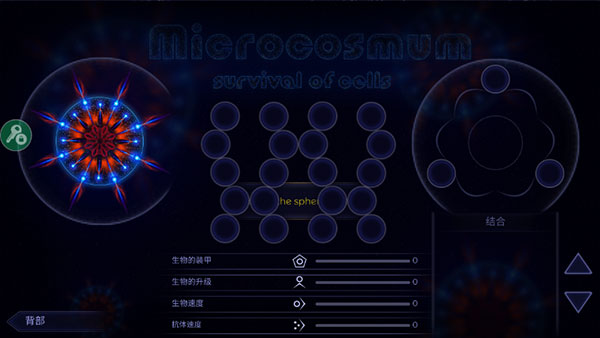 microcosmum