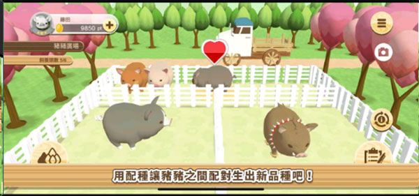 养猪场3D手游
