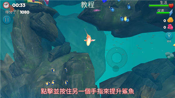 双头鲨