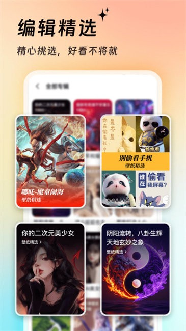 365壁纸
