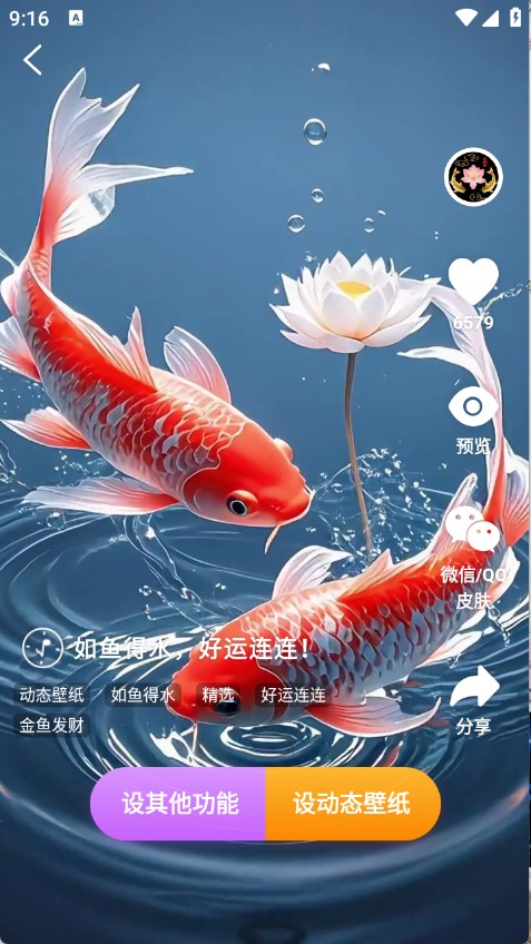 荷花锦鲤壁纸