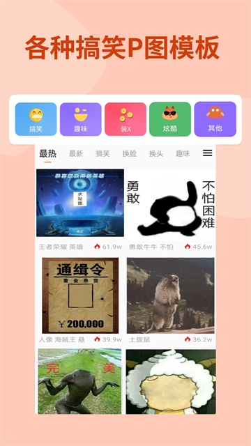 蚂蚁摄影