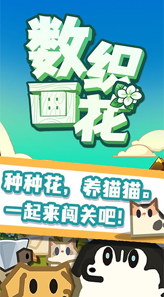 数织画花
