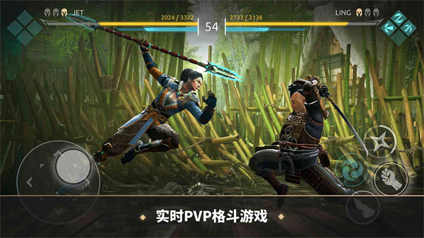 暗影格斗传奇