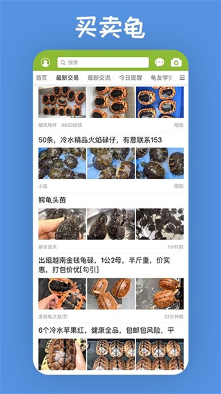 龟友天下