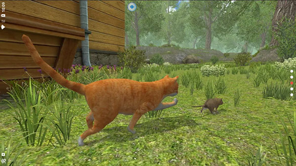 老鼠模拟器新版