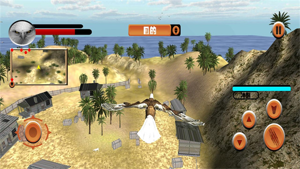 老鹰模拟器官方版