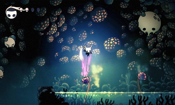hollow knight