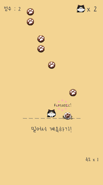 铲屎官给我吃的